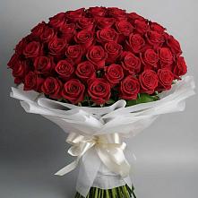 Букет 101 Красная роза Блэк Мэджик в Беркакит