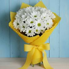 Букет цветов из:  Хризантемы в Беркакит
