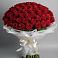 Букет 101 Красная роза Блэк Мэджик в Беркакит