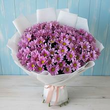 Букет цветов из:  Хризантемы в Беркакит