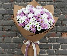 Букет цветов из:  Хризантемы в Беркакит