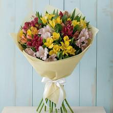 Букет цветов из:  Альстромерии в Беркакит
