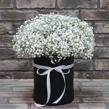 Цветочная композиция из Гипсофила в шляпной коробке #REPLACE_PRED# Беркакит