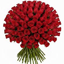 Букет Красные розы Чери Лав #REPLACE_PRED# Беркакит