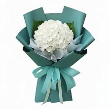 Букет цветов из:  Гортензия в Беркакит